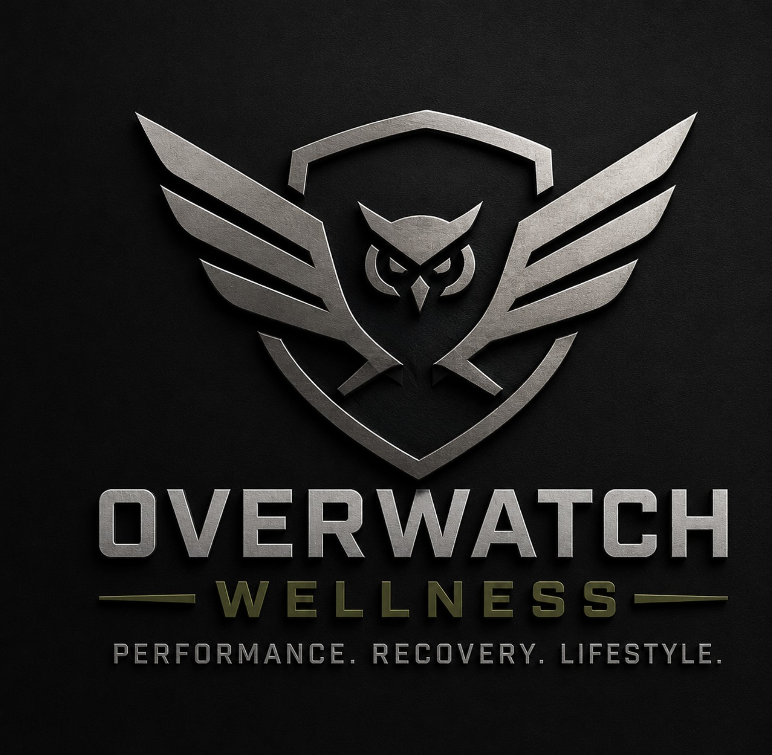 Overwatch shield